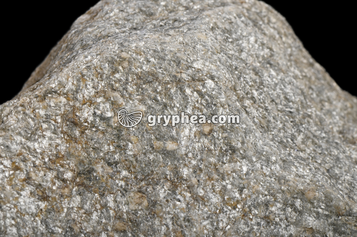 Micaschiste - détail - gryphea.com